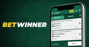 BetWinner Sportsbook Your Ultimate Guide to Online Betting -807367698