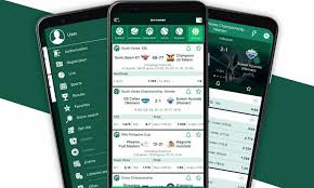 How to Successfully Navigate the BetWinner Sign-In Process